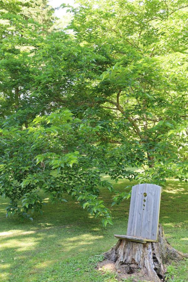 Domaine De Pouroutounat 미르포아 외부 사진